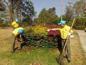 ผลการปฏิบัติงานสืบสวน